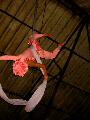 Img_5654.jpg